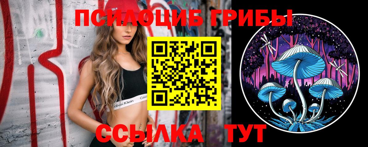 Кудрово  Галлюциногенные грибы Psilocybine cubensis  Галлюциногенные грибы мухоморы  Вход с VPN 