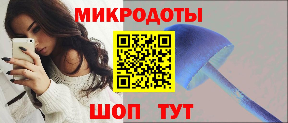 Галлюциногенные грибы MAGIC MUSHROOMS Кудрово